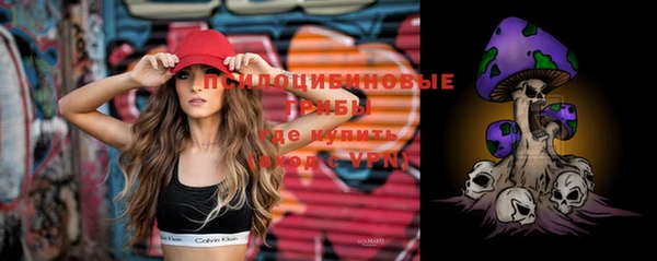ПСИЛОЦИБИНОВЫЕ ГРИБЫ Киренск