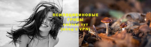 a pvp Киреевск