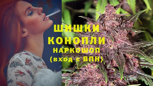 ПСИЛОЦИБИНОВЫЕ ГРИБЫ Киренск