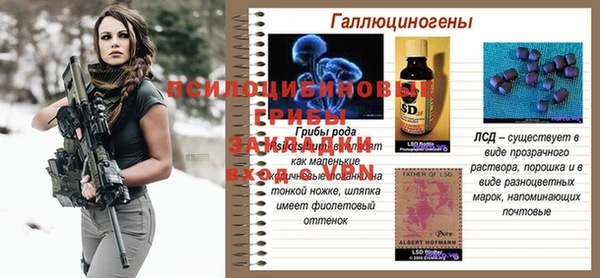 ПСИЛОЦИБИНОВЫЕ ГРИБЫ Киренск