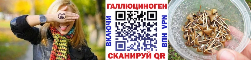Купить закладки  Азов  Галлюциногенные грибы GOLDEN TEACHER 
